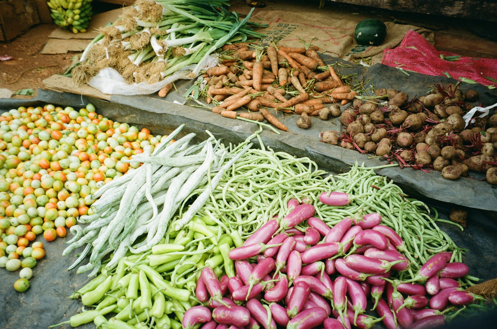 A colorful assortment of fresh vegetables at a market stall
