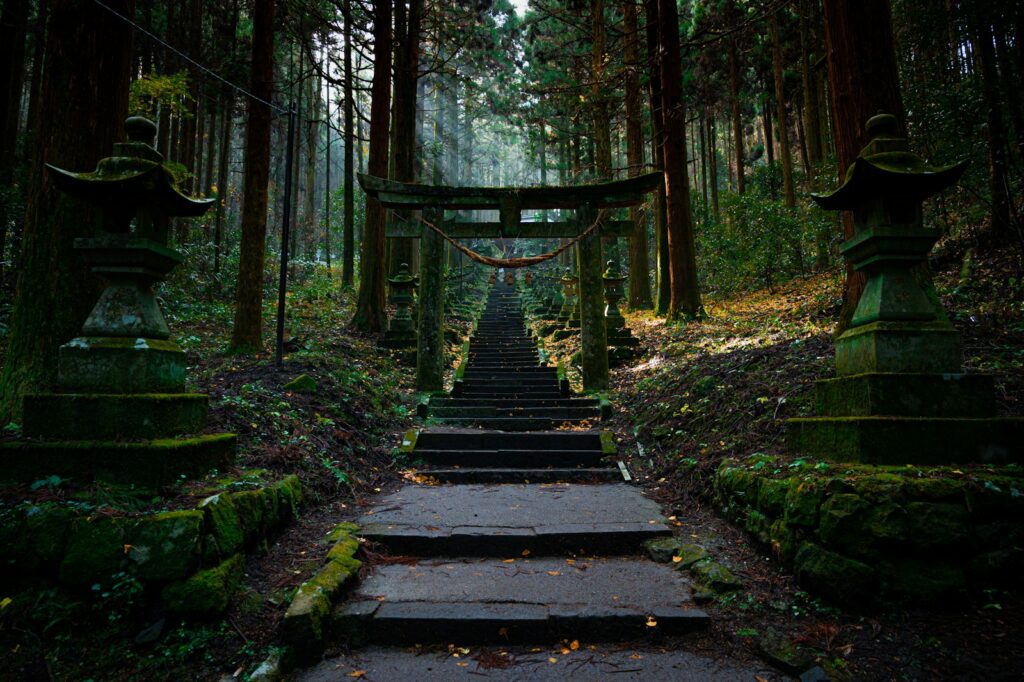 Stone stairs leading to a torii gate in a mossy forest in japan