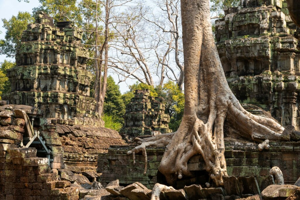 Ancient temple ruins with large tree roots growing over stone