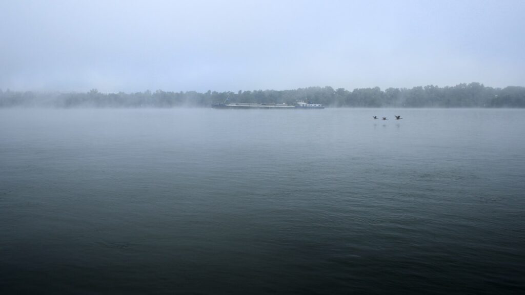 Body of water near trees during daytime