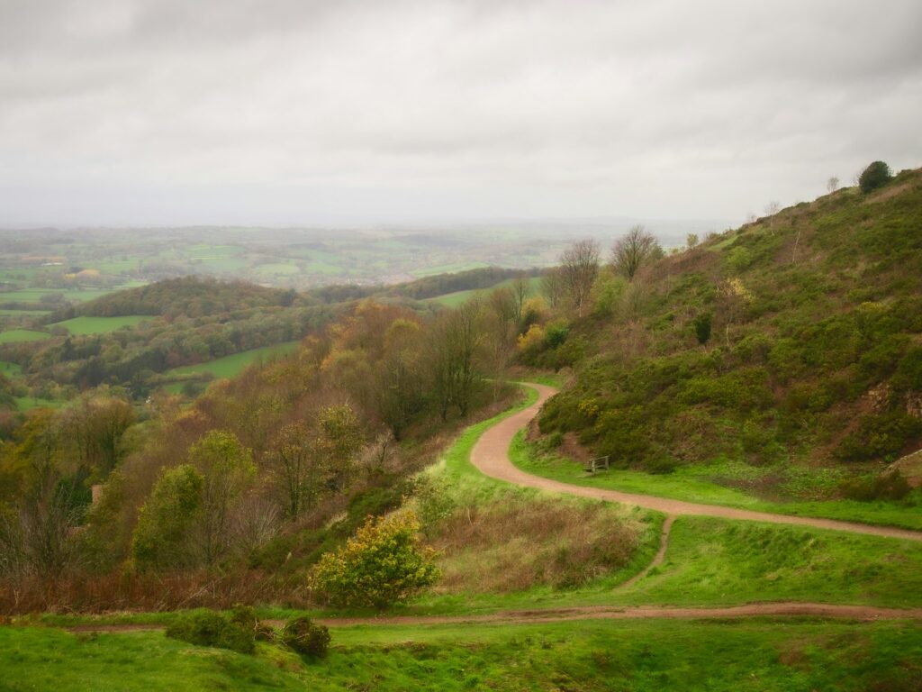 Scenic winding path through lush green hills and trees