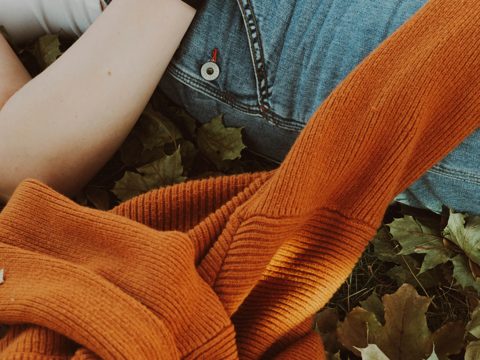 A person holding a plant