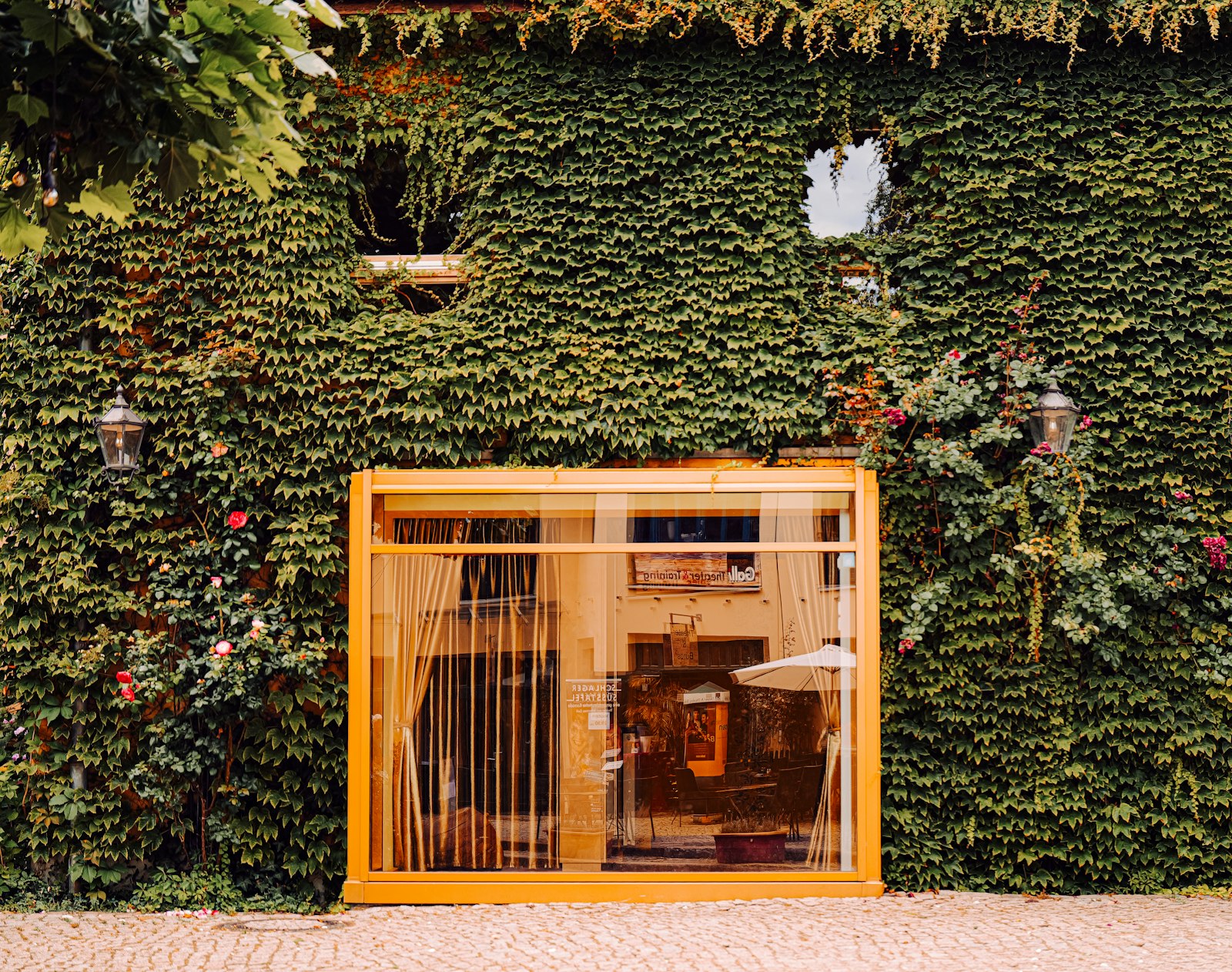 Building facade covered in green ivy with a large window