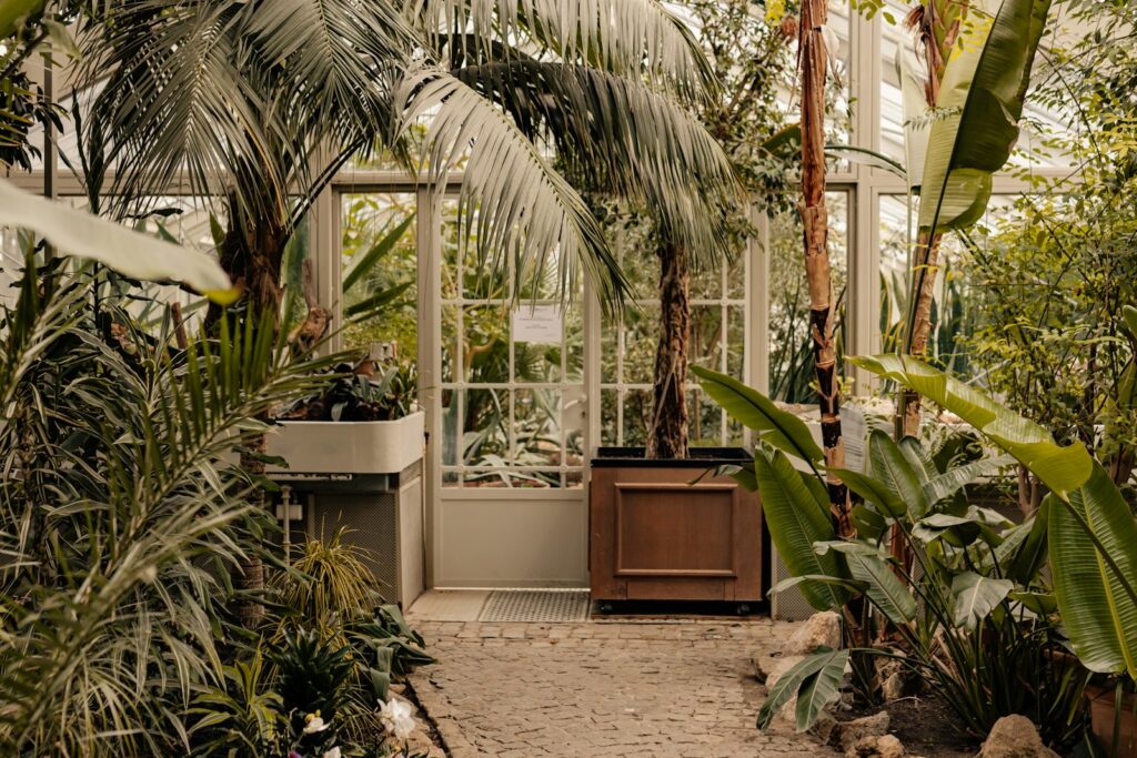 A lush garden with tropical plants in view