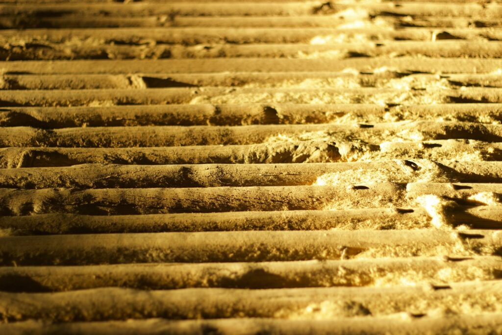 A close up of a sand covered ground