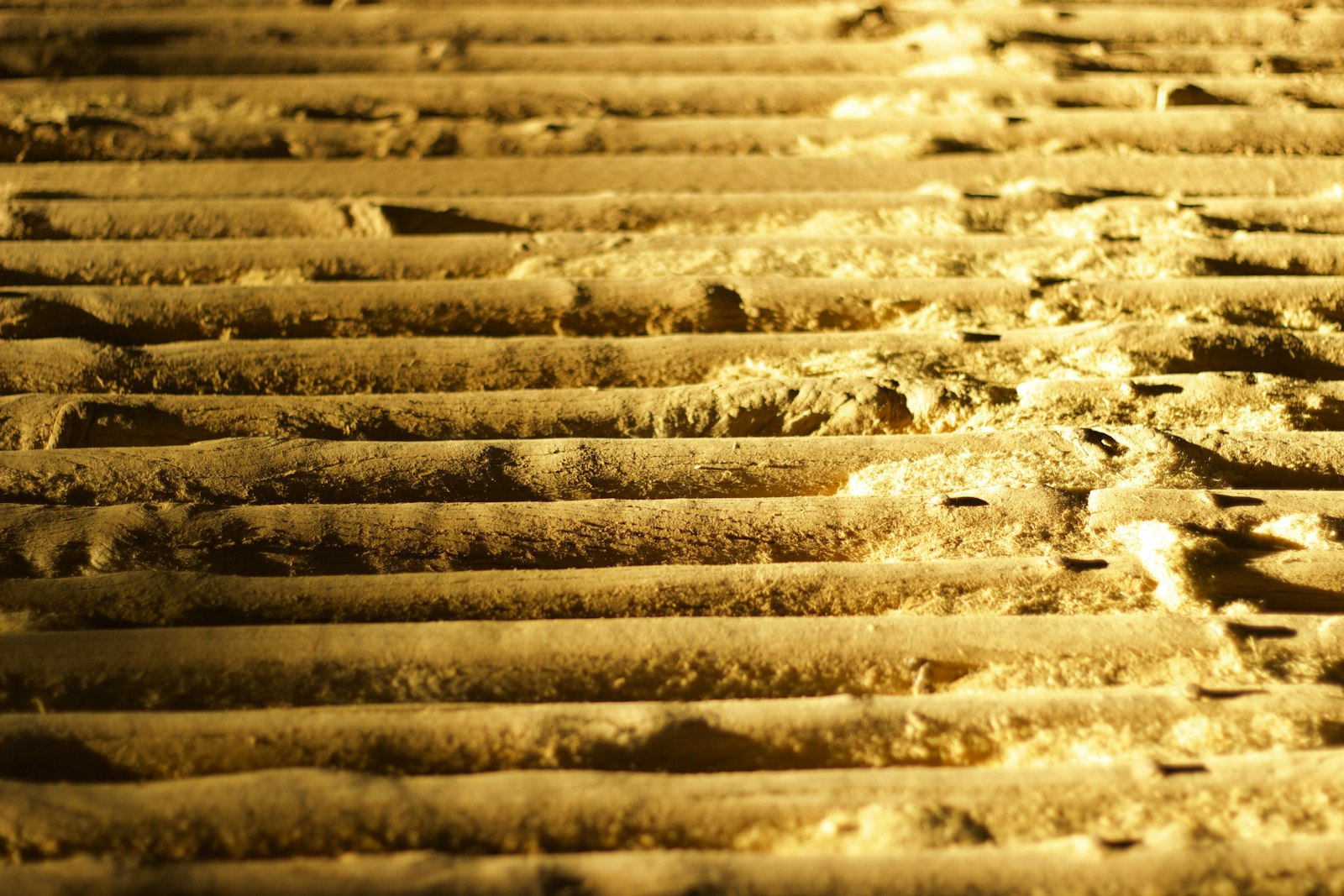 A close up of a sand covered ground