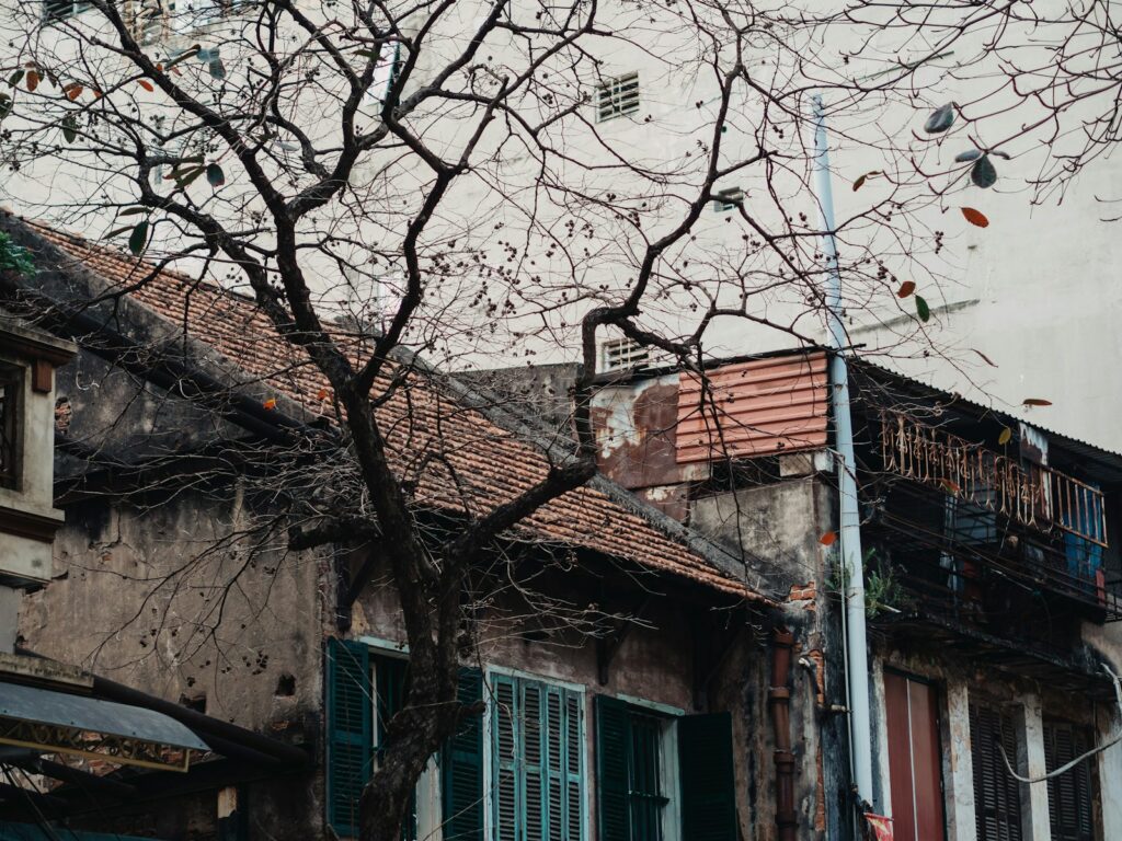 A tree in front of a building with green shutters