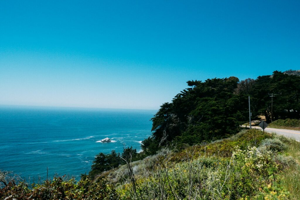 Coastal road overlooking a vast blue ocean and green cliffs