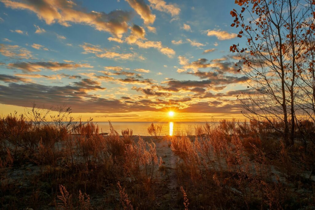 Golden sunset over a calm body of water
