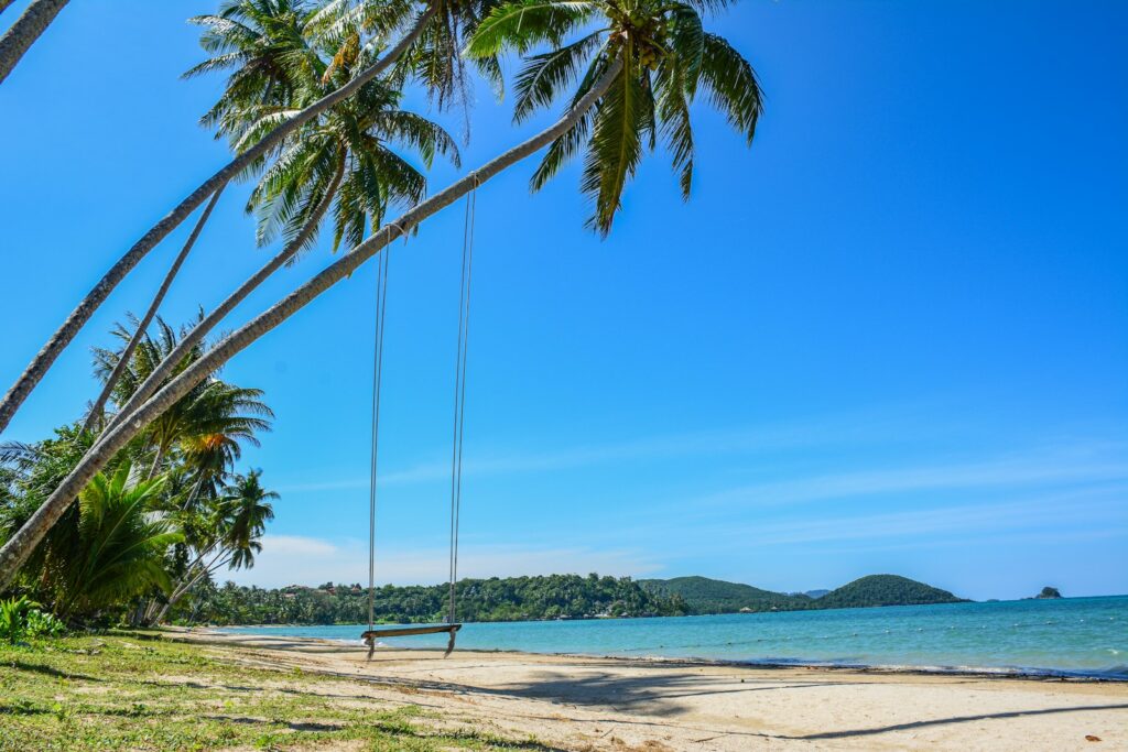 Palm trees and a swing on a tropical beach