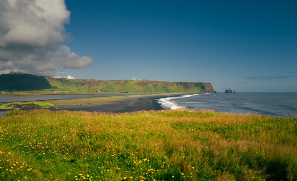 Grassy field overlooking a black sand beach and ocean