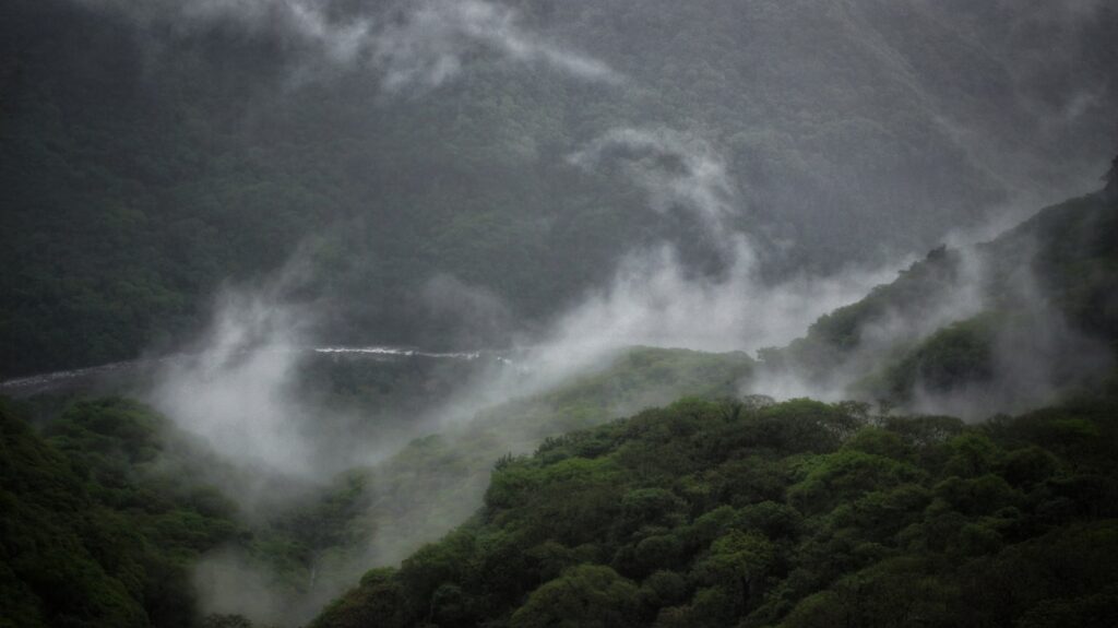 Fog rolling through lush green mountain valleys
