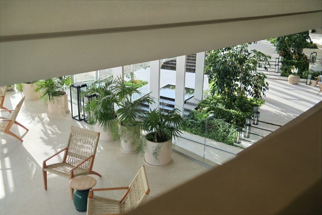 Modern lounge area with chairs, tables, and green plants
