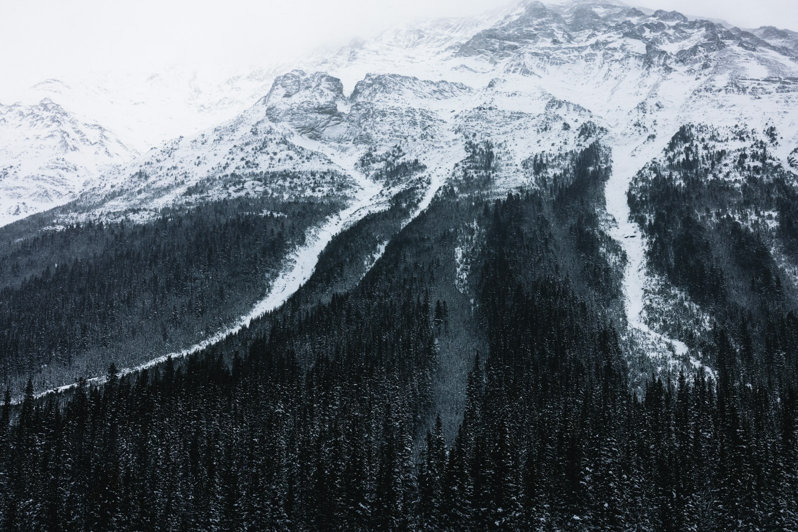 A snow covered mountain with trees in the foreground