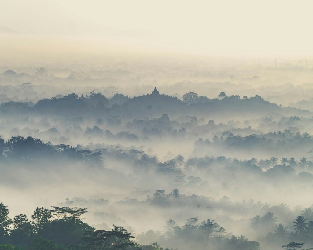 Mountain covered by fog