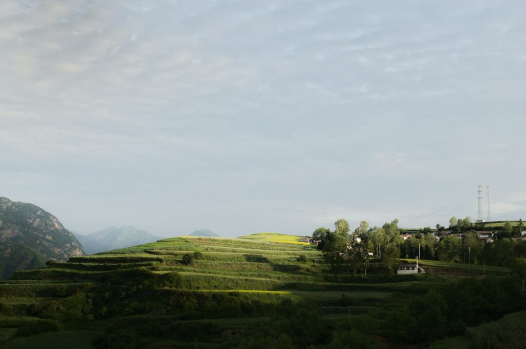 Terraced fields with yellow flowers and distant village