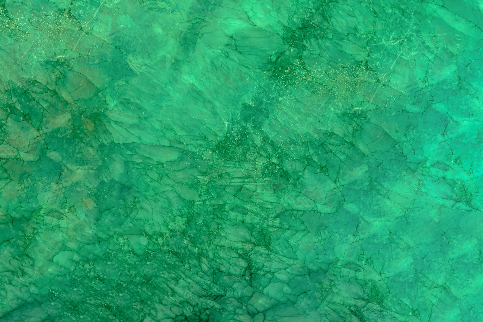An aerial view of a green water surface