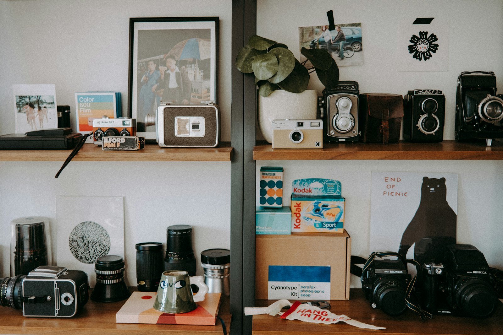 A couple of shelves filled with cameras and other items