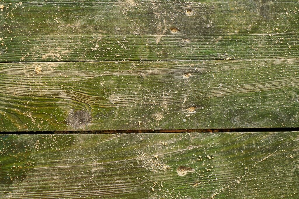 A bird is perched on a wooden fence