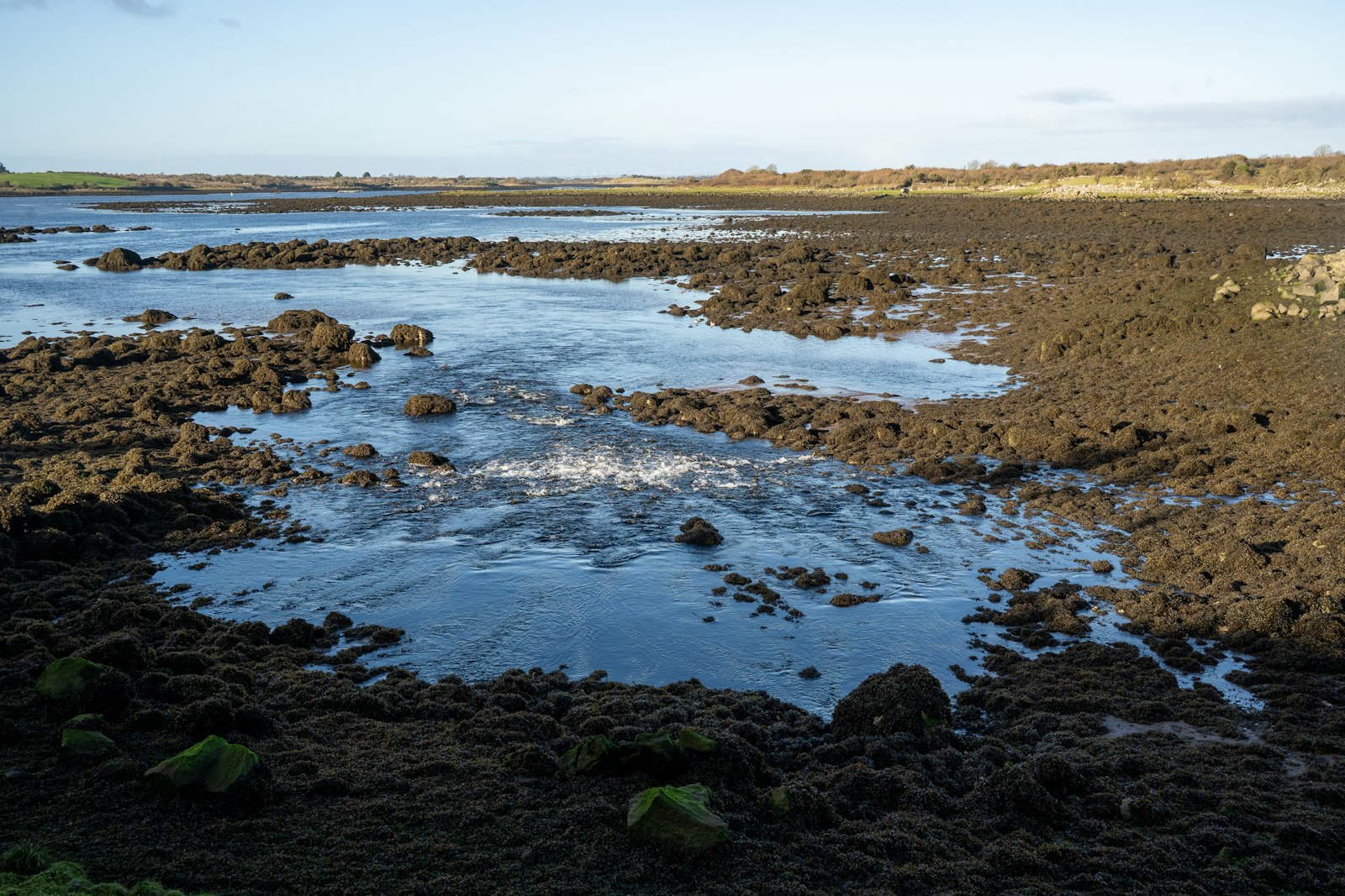 Mudflats with shallow pools of water at low tide