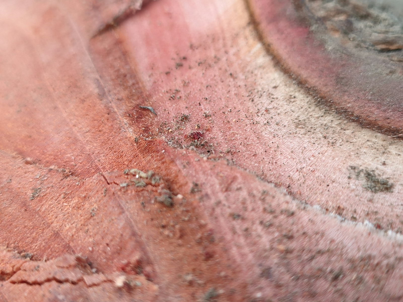 A close up of a piece of metal with dirt on it