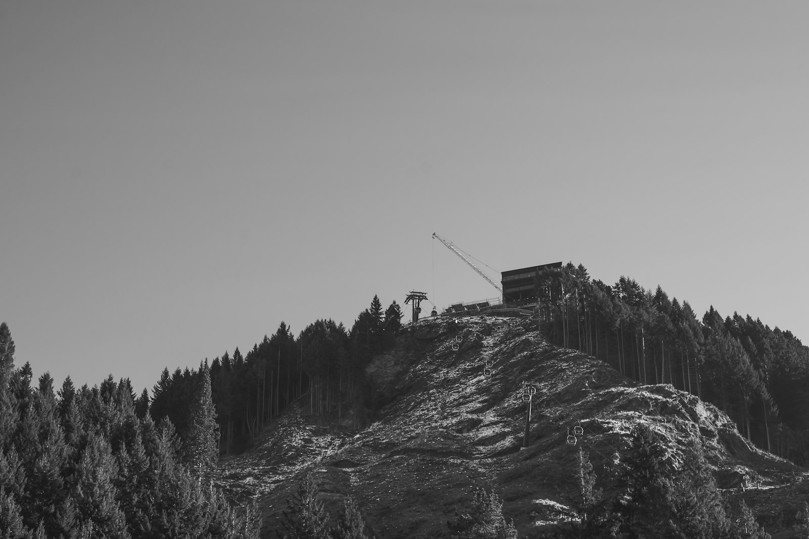 A construction crane on a mountain peak above a dense pine forest