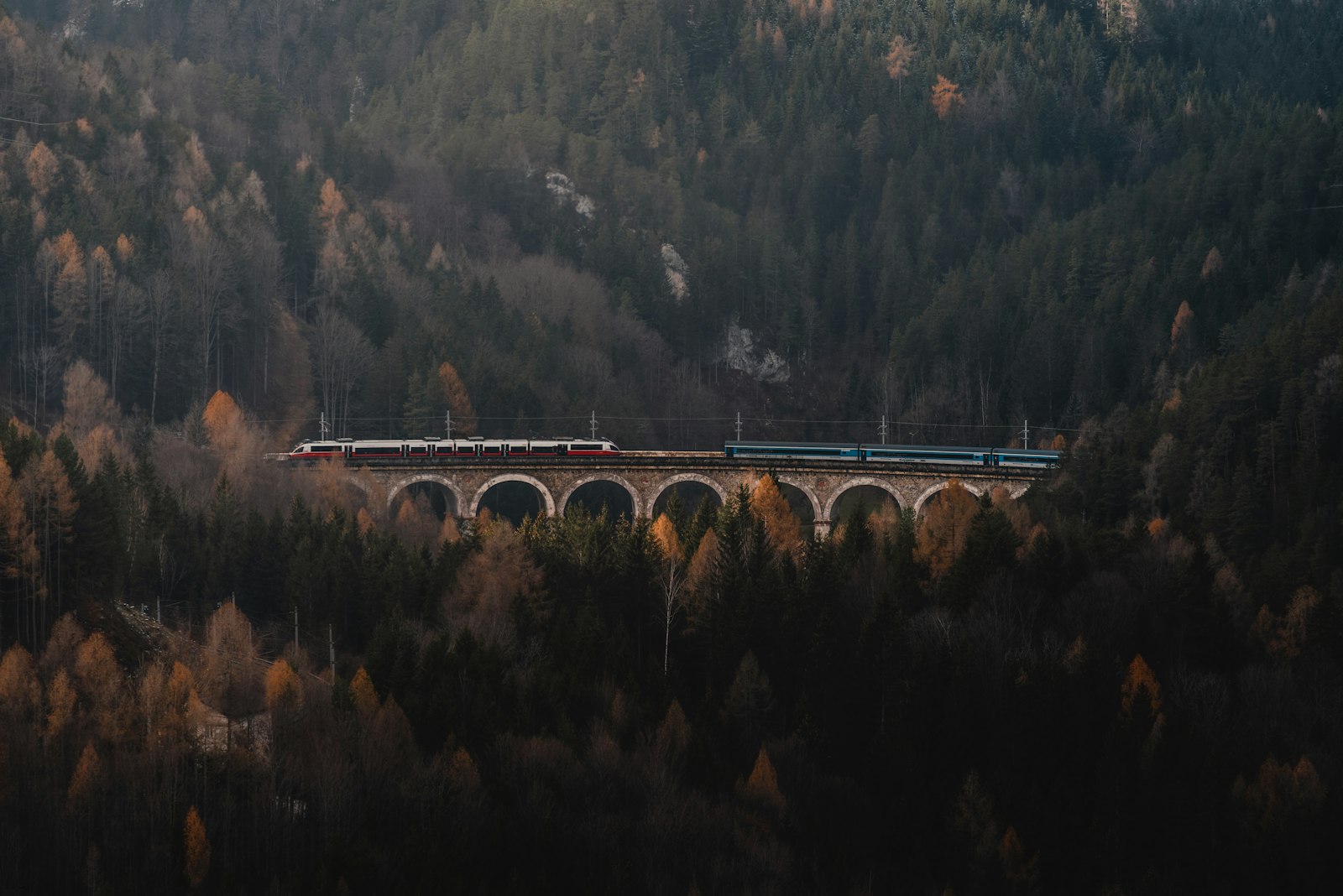 A train traveling over a bridge over a forest
