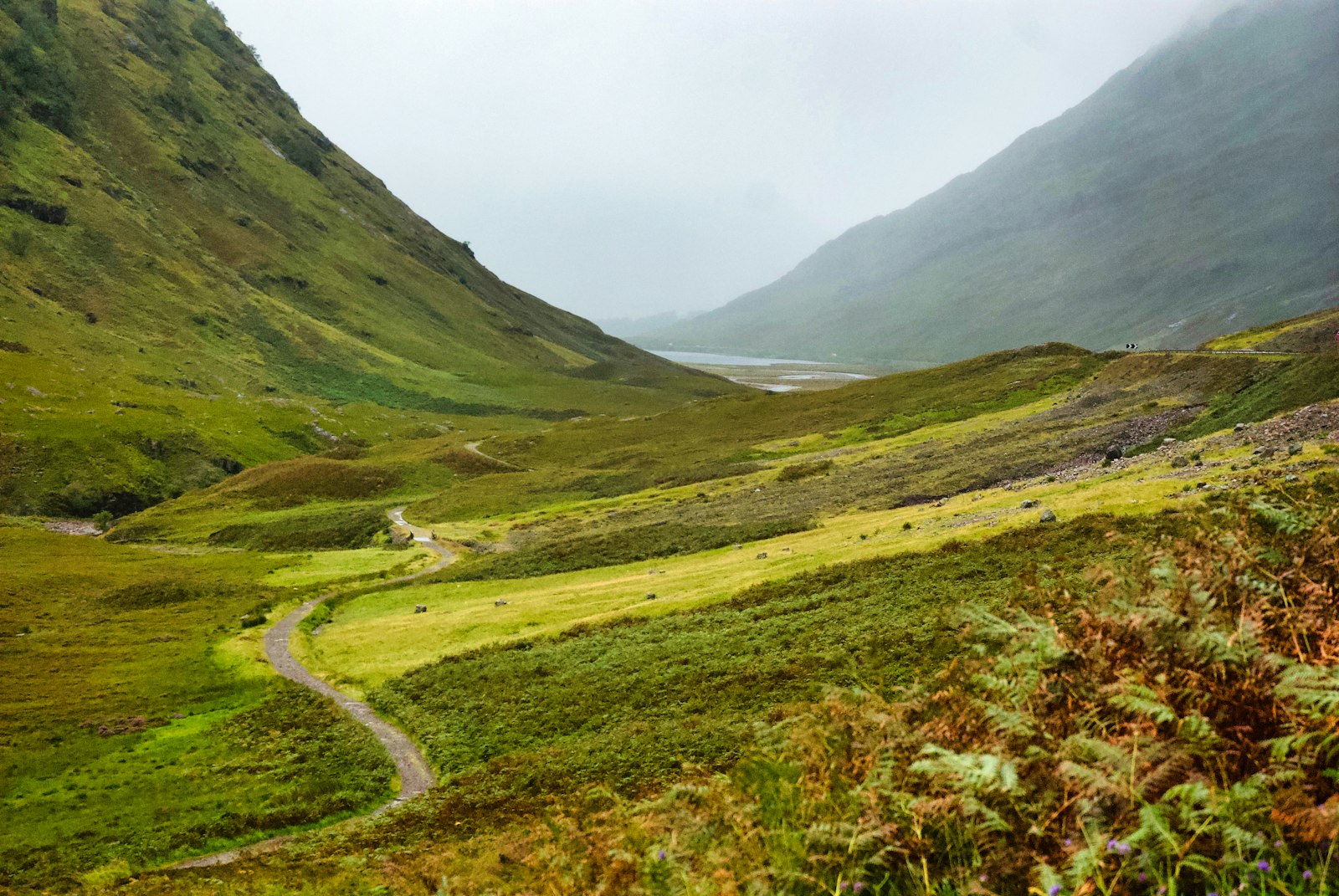 A winding path through a lush green valley