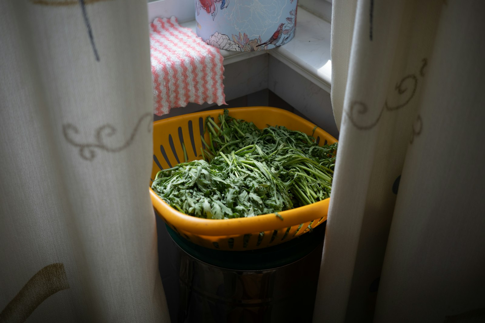 Why Nettles Deserve a Bigger Role