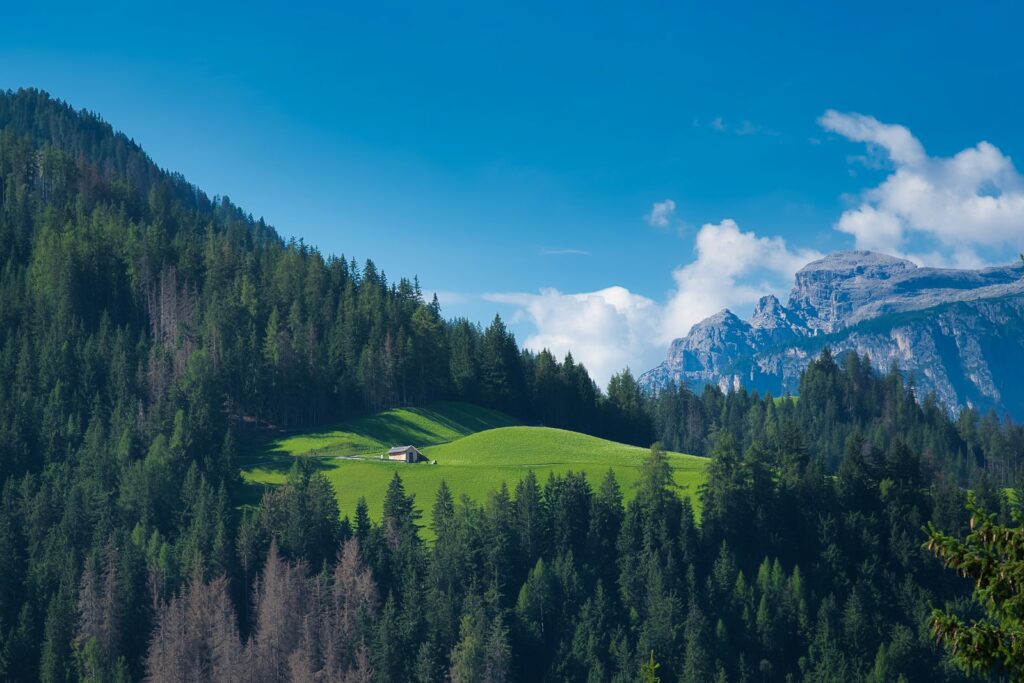 A green field surrounded by trees and mountains