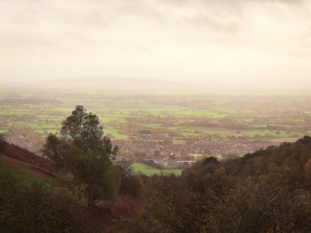 Hazy valley landscape with a distant town and foreground trees