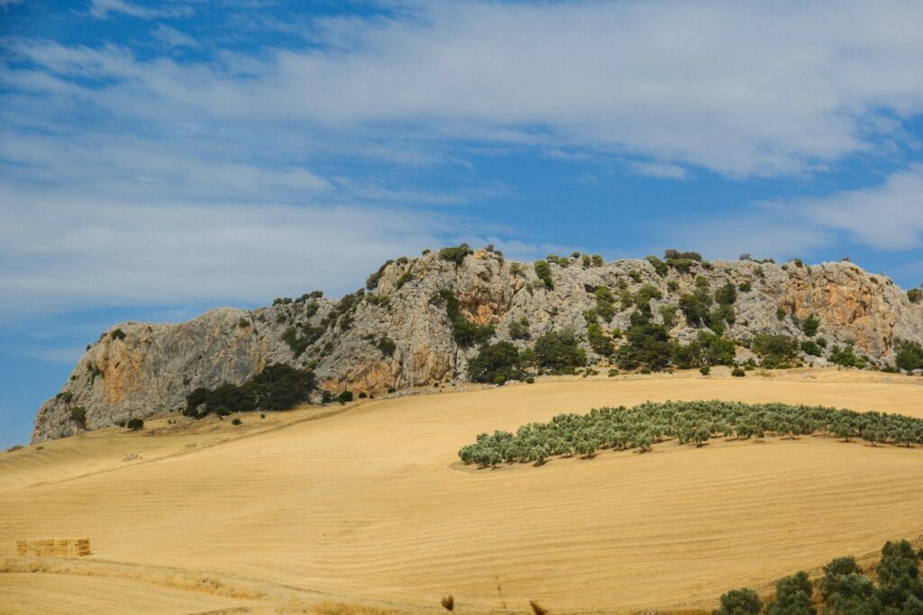Rocky mountain range with dry fields and trees