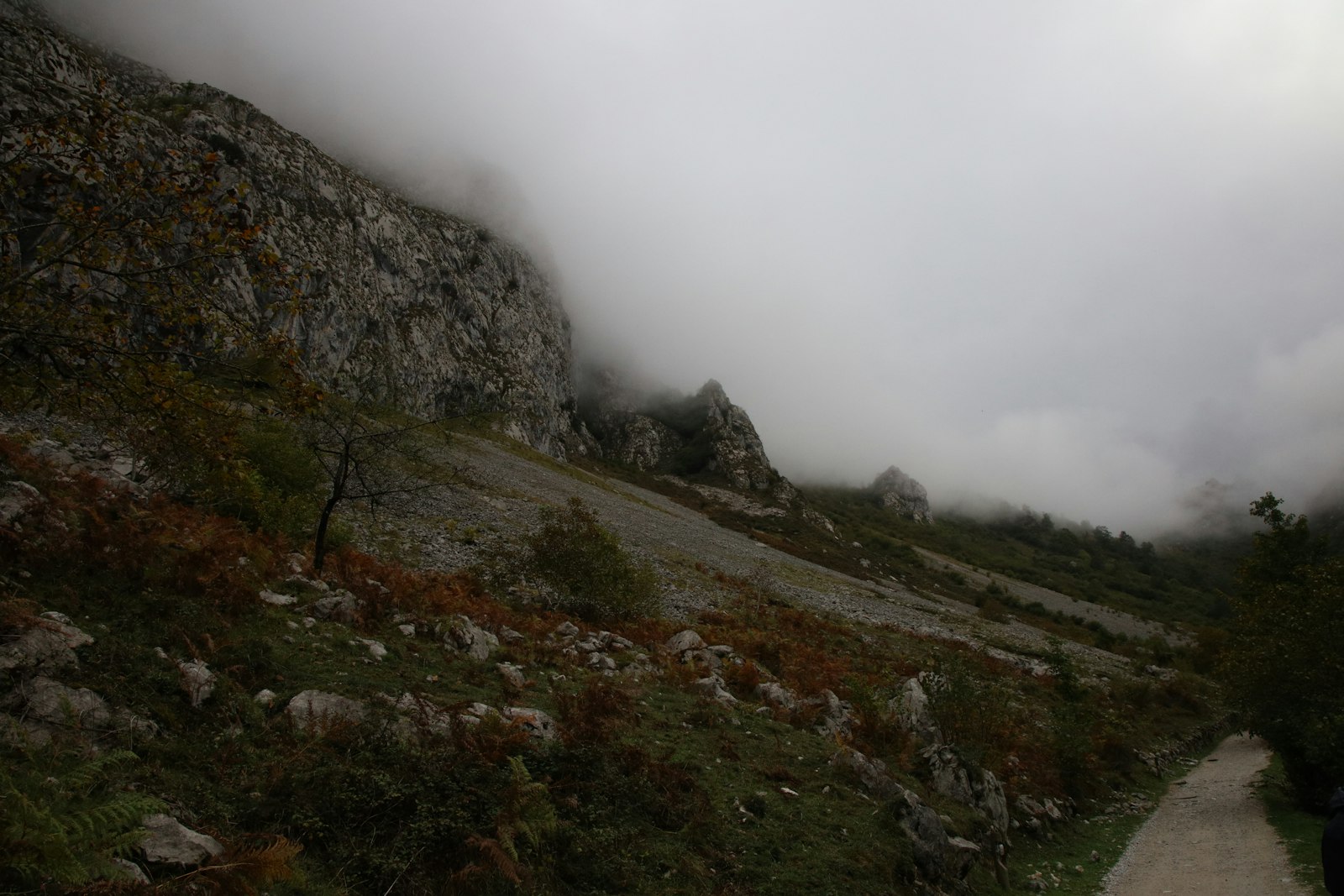 A path on a mountain