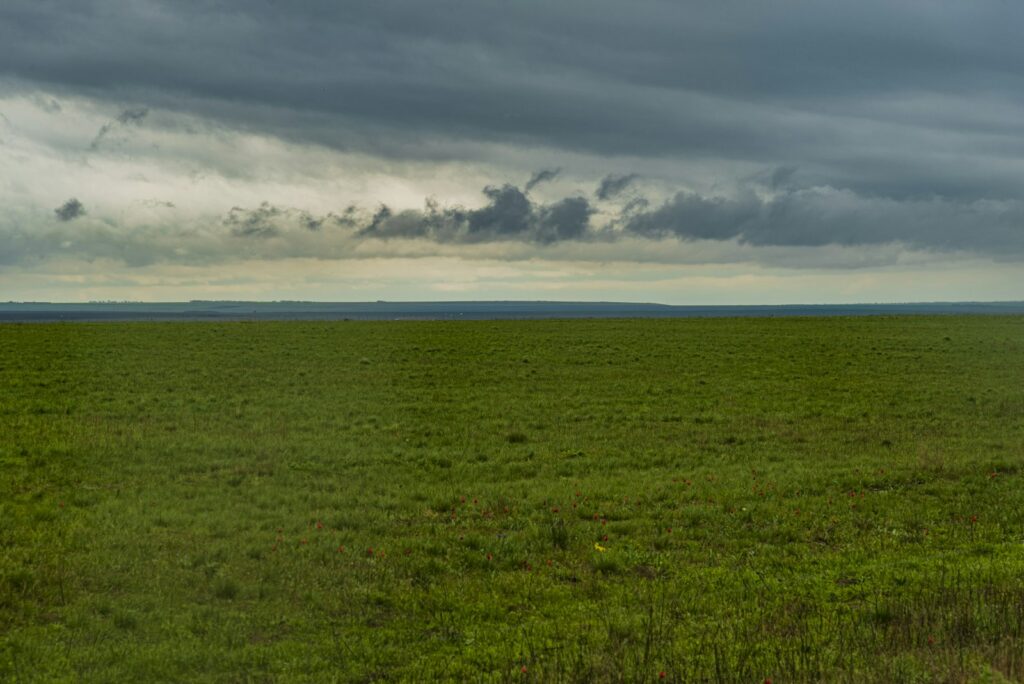 Vast green field under a stormy sky