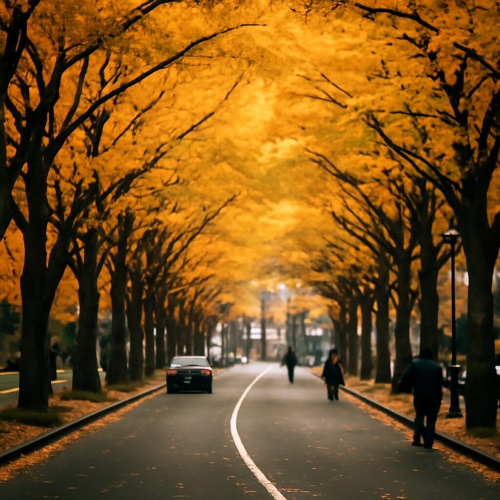 Tree lined boulevard in Sendai city with autumn leaves overhead